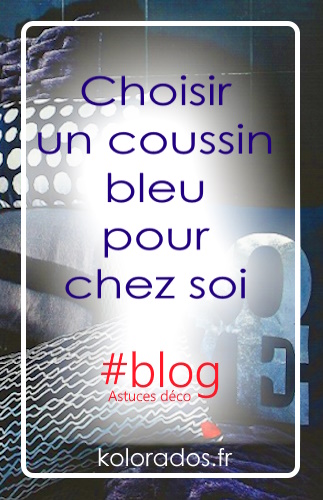 Choisir-un-coussin-bleu-pour-chez-soi